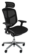 Enjoy Mesh Chair