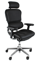 Ergohuman EHPE-HAL leather chair